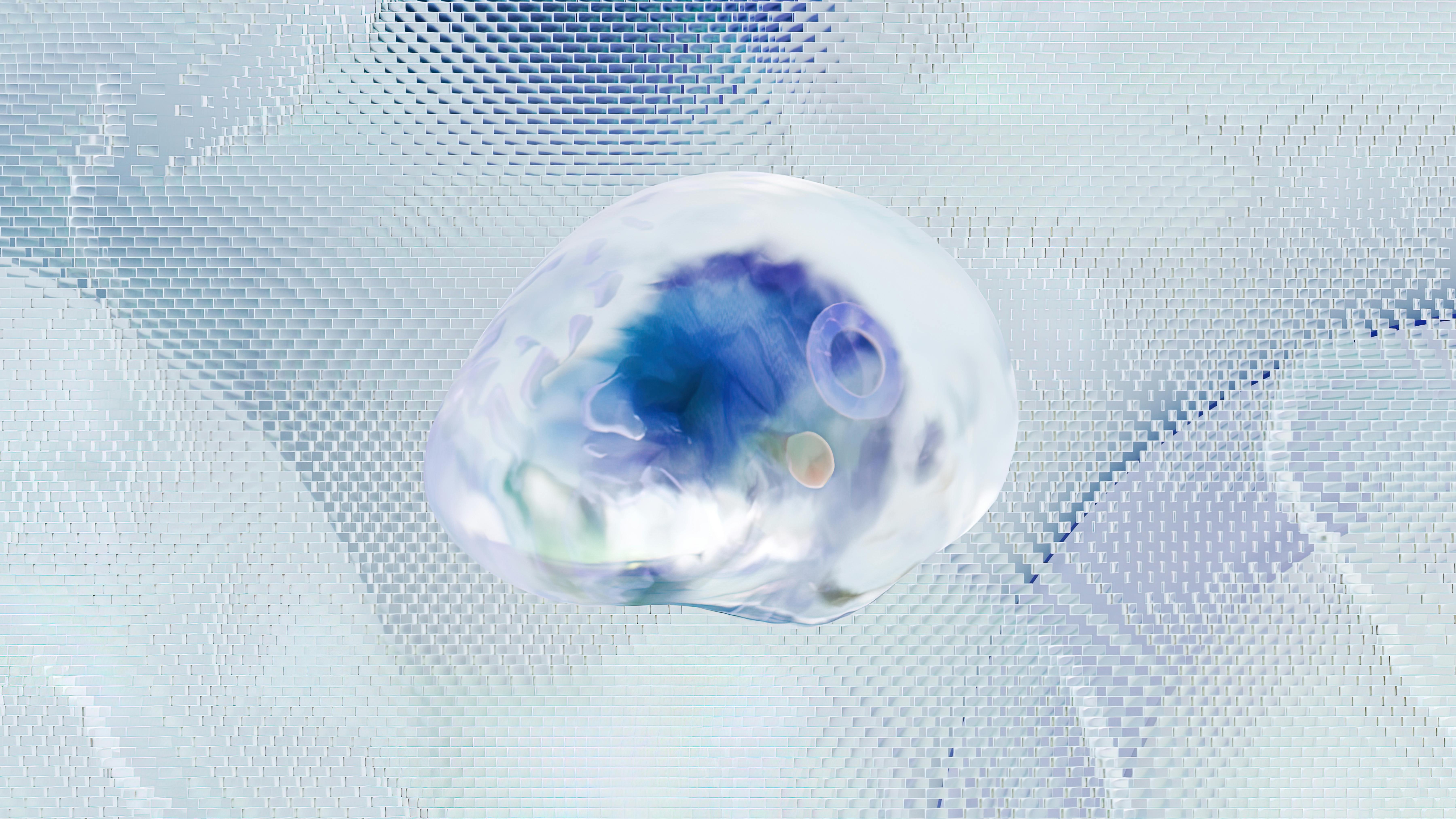 brain